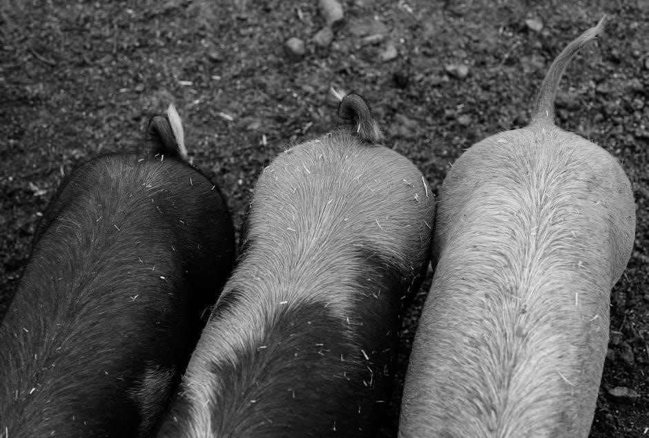 story of three little pigs pdf