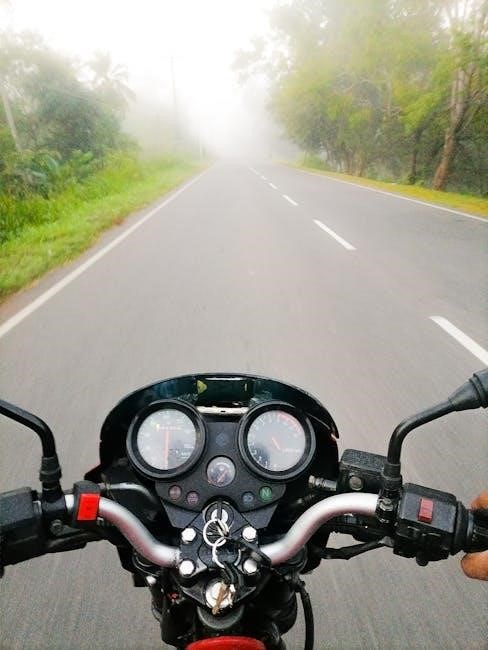 guide to motorbikes
