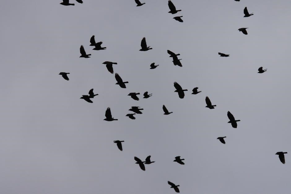 six of crows filetype:pdf