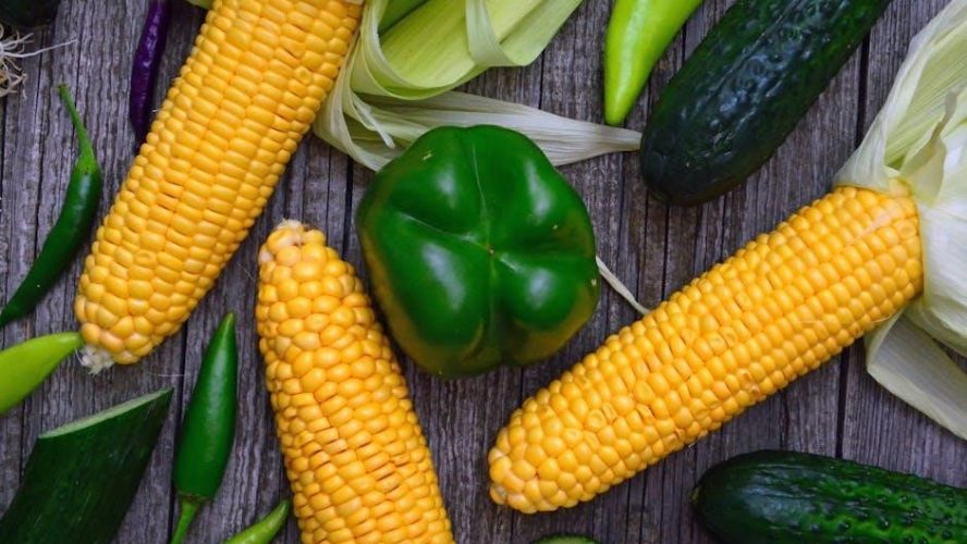 tgif jalapeno poppers cooking instructions