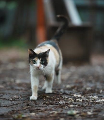 cat cj1000dxt manual