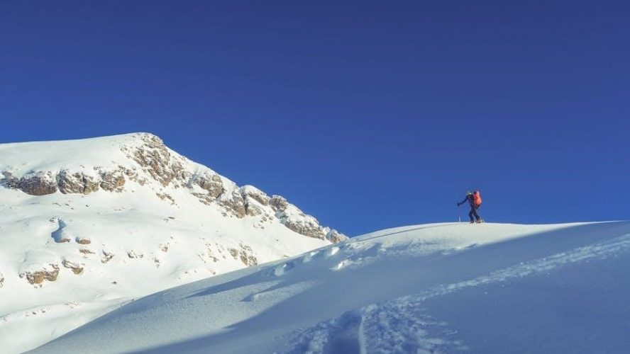 range of motion exercises pdf