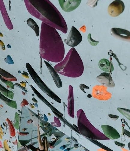 climbing harness size guide