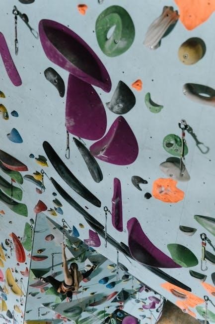 climbing harness size guide