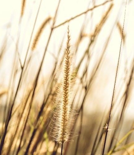 hallucinogenic plants a golden guide