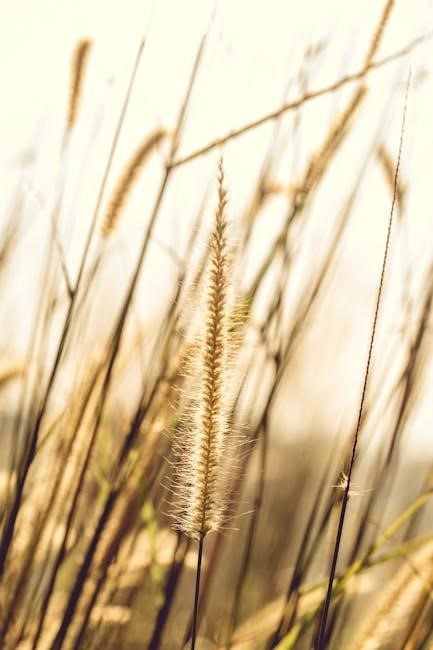 hallucinogenic plants a golden guide