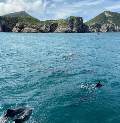 island of the blue dolphins book pdf