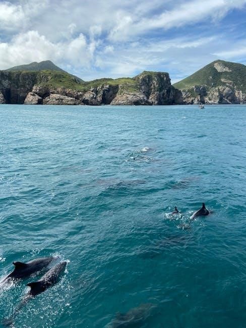 island of the blue dolphins book pdf