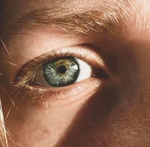 vision traction organizer pdf