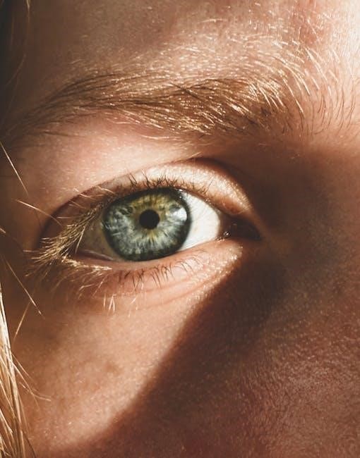 vision traction organizer pdf