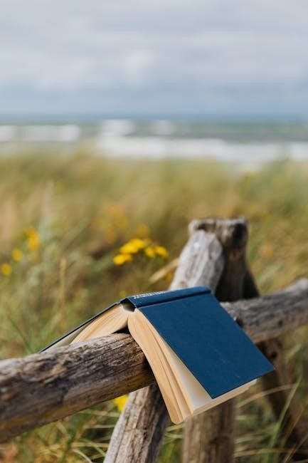 the distance between us reyna grande free pdf